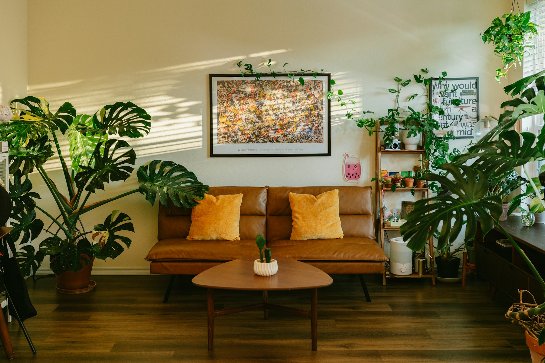 Groene planten brengen leven in een zonnig huis
